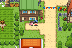 Pokémon Darkfire gameplay preview 10